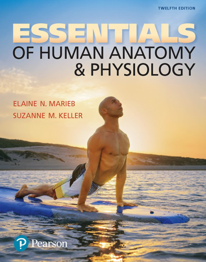 Cover of book called "Essentials of Human Anatomy & Psychology"
